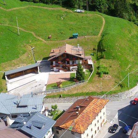 Appartamenti Patrizia San Pietro di Cadore Eksteriør billede