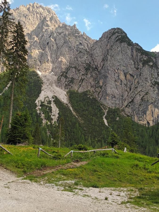 Appartamenti Patrizia San Pietro di Cadore Eksteriør billede