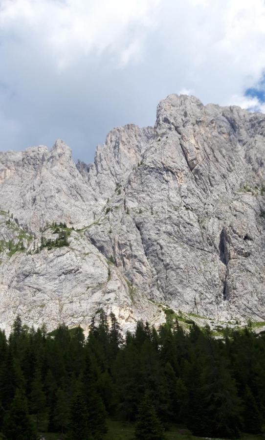 Appartamenti Patrizia San Pietro di Cadore Eksteriør billede