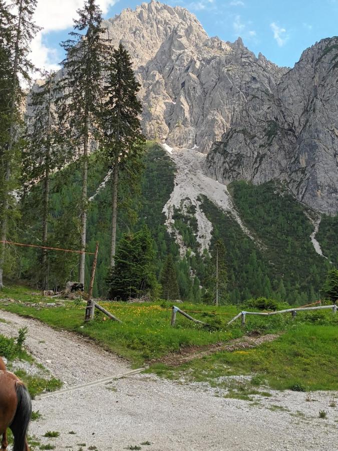 Appartamenti Patrizia San Pietro di Cadore Eksteriør billede