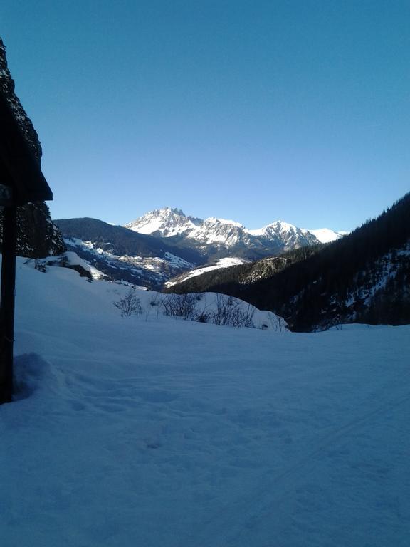 Appartamenti Patrizia San Pietro di Cadore Eksteriør billede