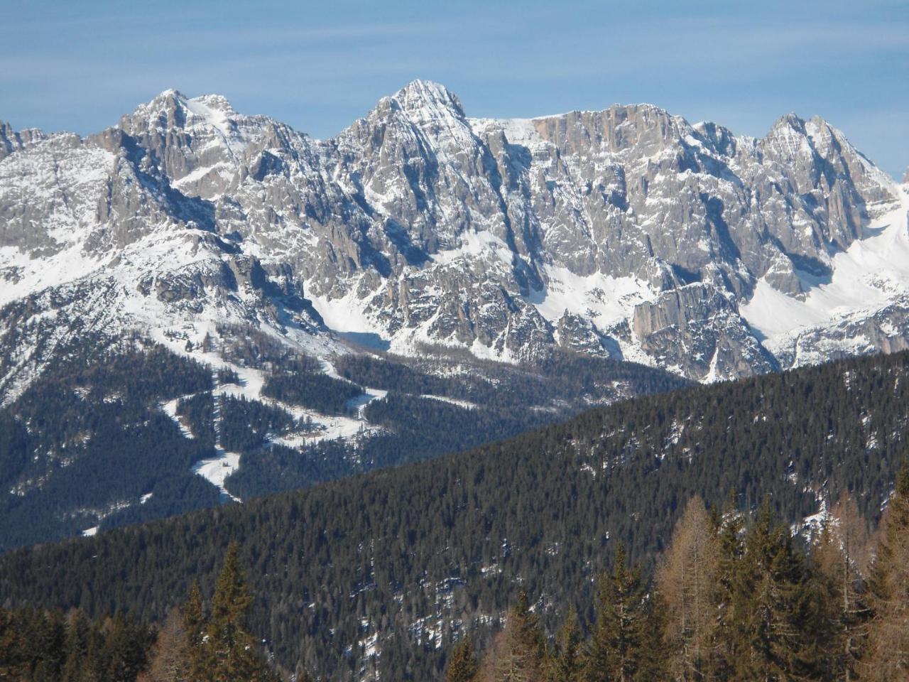 Appartamenti Patrizia San Pietro di Cadore Eksteriør billede